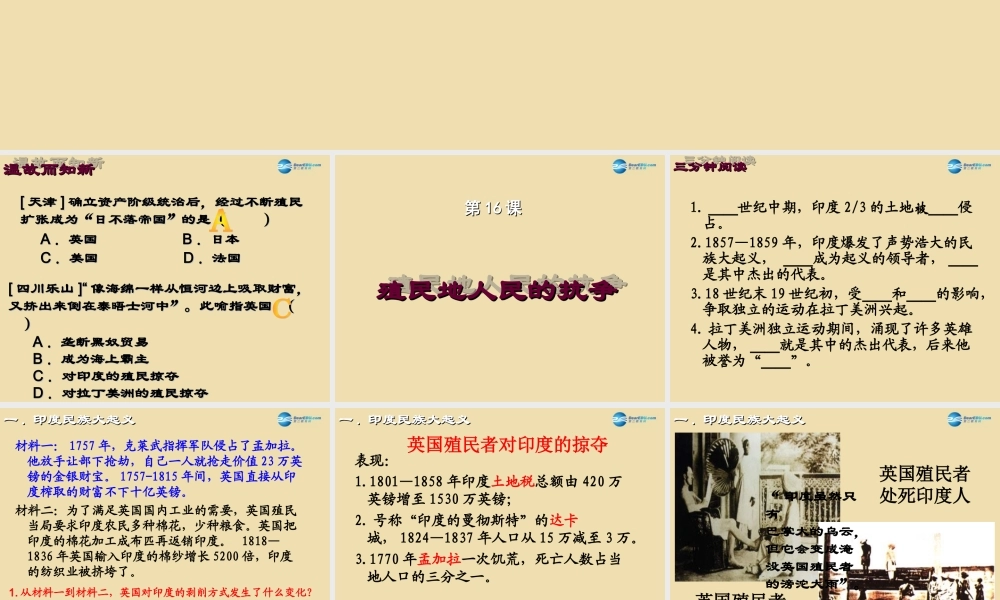 九年级历史上册 16 殖民地人民的抗争课件 新人教版 课件