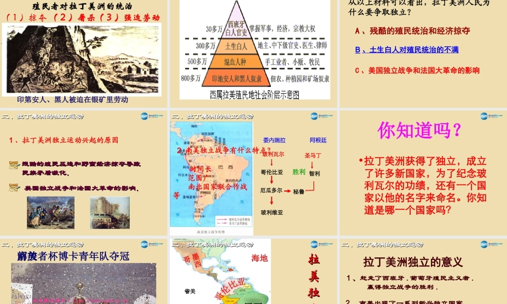 九年级历史上册 16 殖民地人民的抗争课件 新人教版 课件
