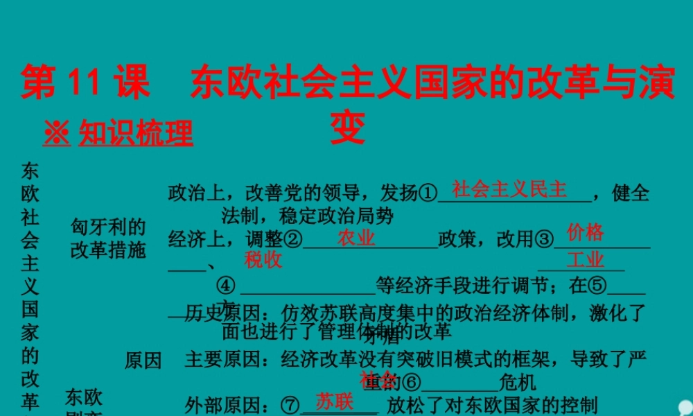 九年级历史下册 第11课 东欧社会主义国家的改革与演变课件 新人教版 课件