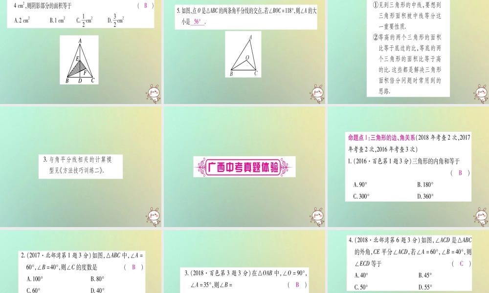 中考数学精选准点备考复习 第一轮 考点系统复习 第4章 三角形 第2节 一般三角形及其性质课件 新人教版 课件