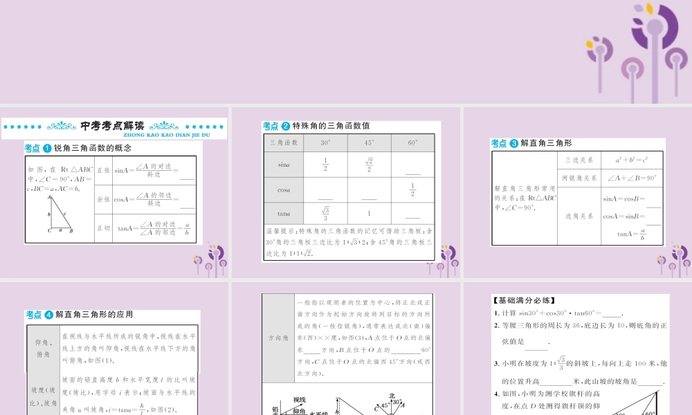 中考数学总复习 第四章 第六节 锐角三角函数及其应用课件