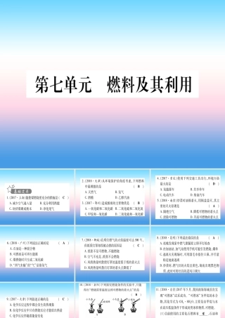 (甘肃专用)中考化学 第7单元 燃料及其利用(提分精练)课件