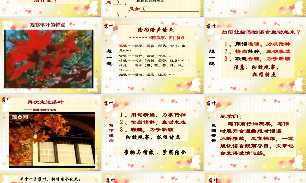 中考语文作文复习 让语言生动起来课件