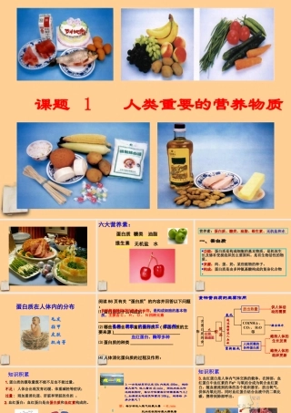 九年级化学下册 12-1人类重要的营养物质课件 人教新课标版 课件