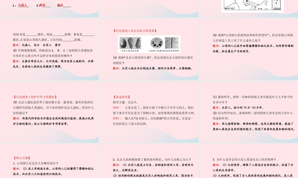 七年级历史上册 第一单元 中华文明的起源 1中华大地的远古人类课件 北师大版 课件