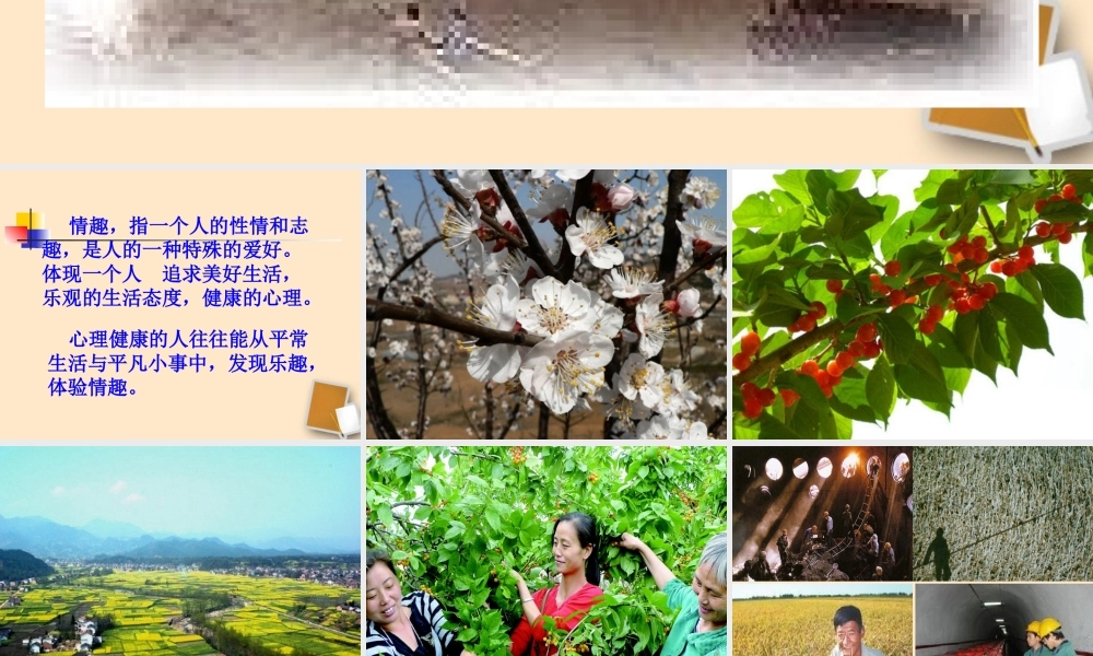 七年级政治下册 14. 1 生活处处有情趣教学课件 鲁教版 课件