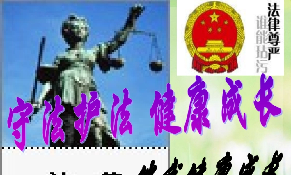 七年级政治下册 法律伴我们健康成长课件 湘教版 课件