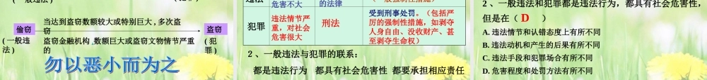 七年级政治下册 法律伴我们健康成长课件 湘教版 课件