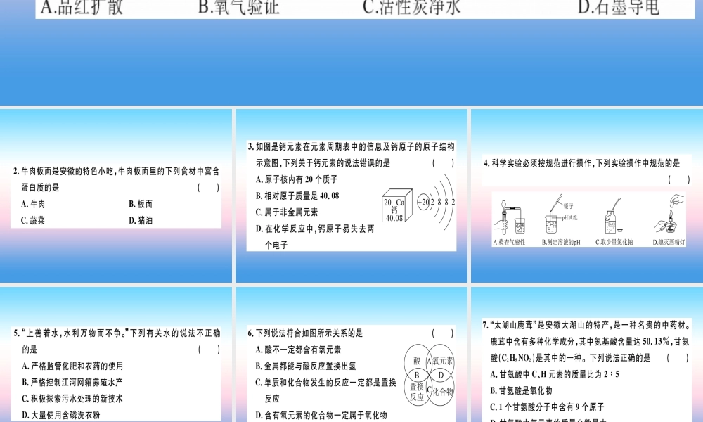九年级化学下册 模拟卷(一)习题课件 新人教版 课件