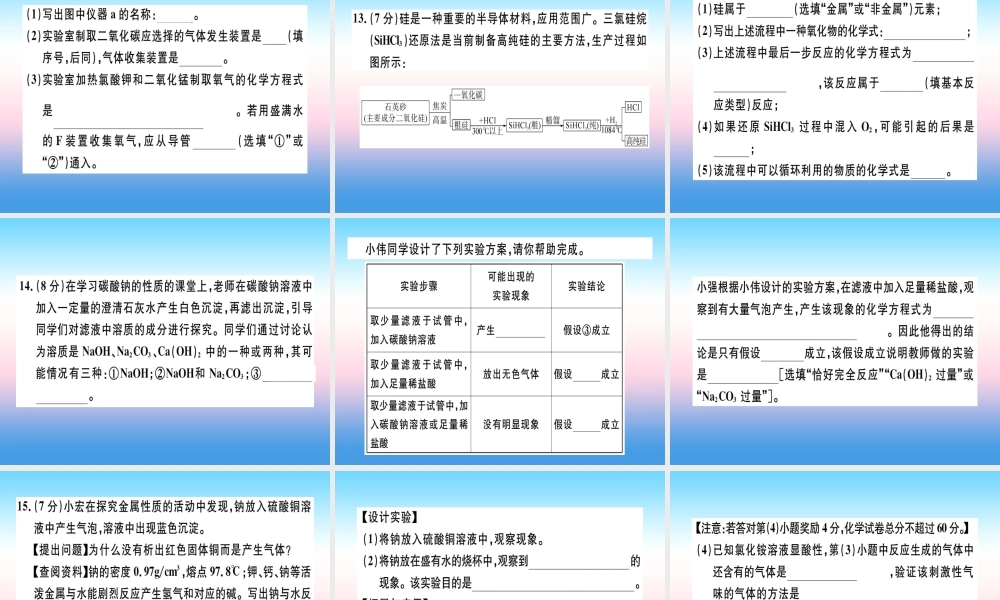 九年级化学下册 模拟卷(一)习题课件 新人教版 课件