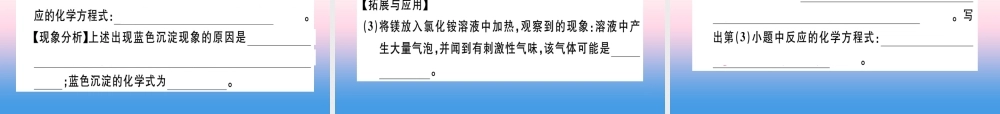 九年级化学下册 模拟卷(一)习题课件 新人教版 课件