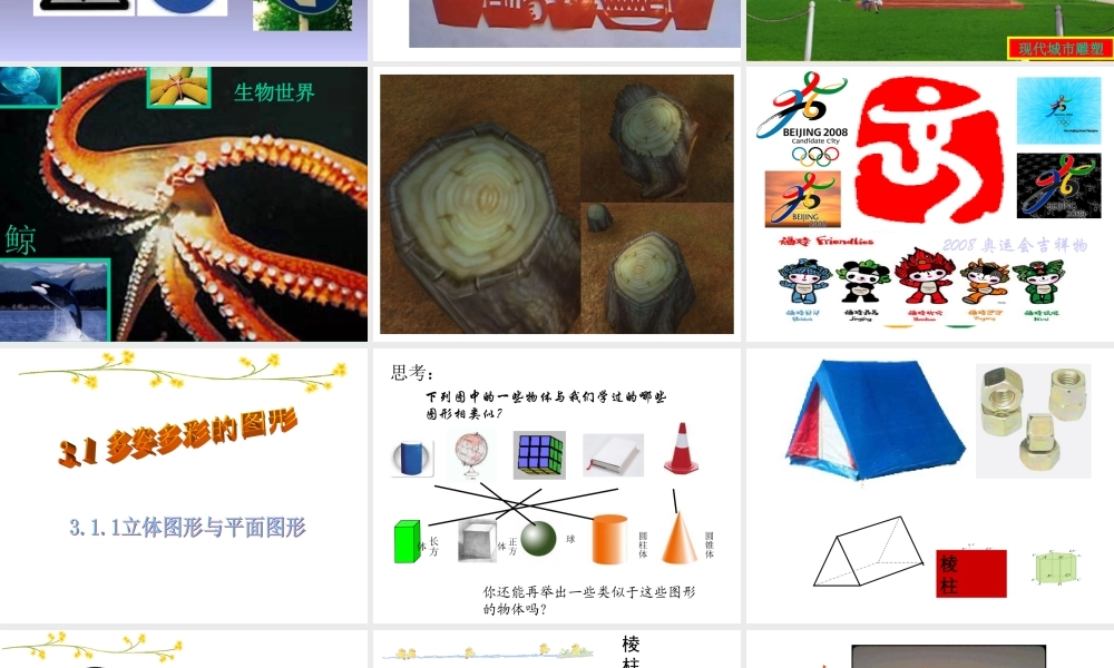 3.1立体图形与平面图形课件 人教版 课件