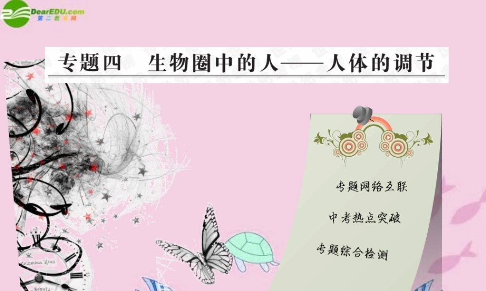 中考生物学业水平考试专题复习 专题四生物圈中的人——人体调节课件