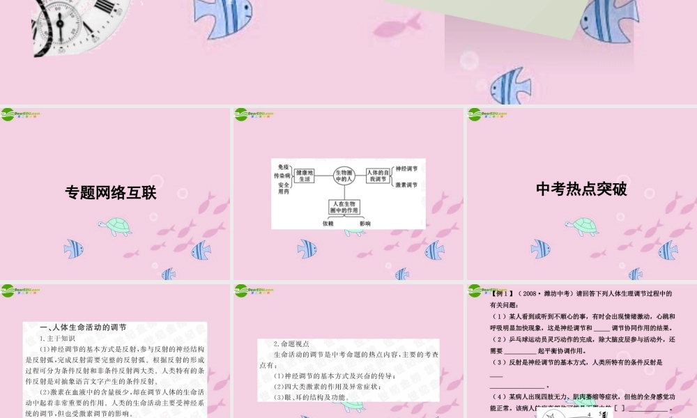 中考生物学业水平考试专题复习 专题四生物圈中的人——人体调节课件