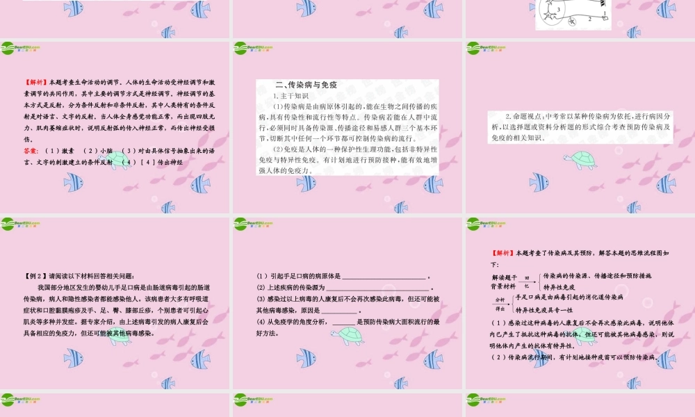 中考生物学业水平考试专题复习 专题四生物圈中的人——人体调节课件