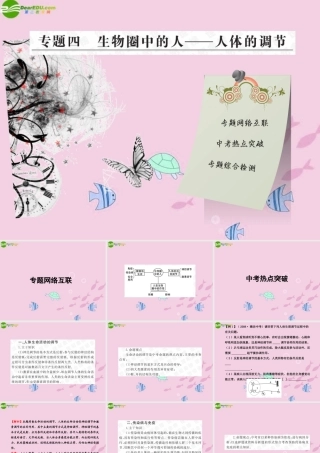 中考生物学业水平考试专题复习 专题四生物圈中的人——人体调节课件