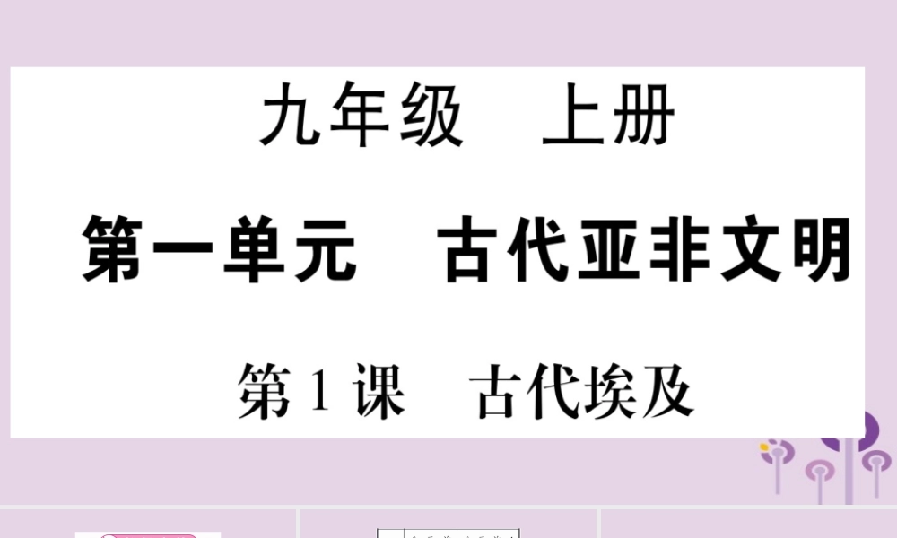 九年级历史上册 第1单元 古代亚非文明 第1课 古代埃及习题课件 新人教版 课件
