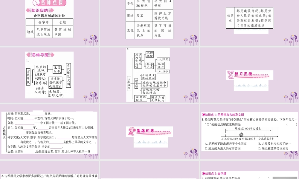 九年级历史上册 第1单元 古代亚非文明 第1课 古代埃及习题课件 新人教版 课件