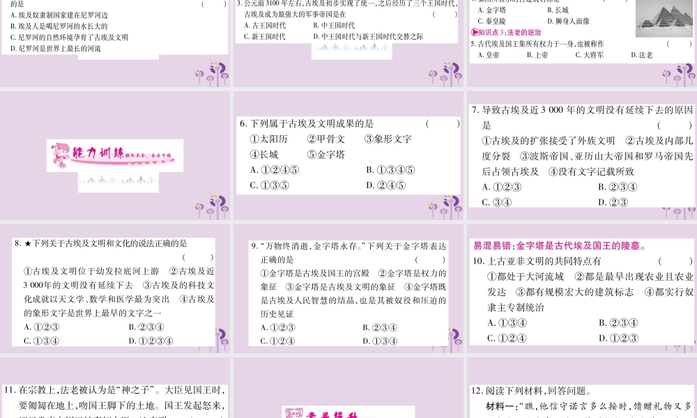 九年级历史上册 第1单元 古代亚非文明 第1课 古代埃及习题课件 新人教版 课件