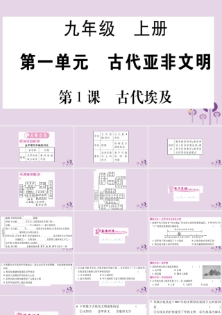 九年级历史上册 第1单元 古代亚非文明 第1课 古代埃及习题课件 新人教版 课件