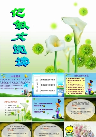中考语文复习专题课件 记叙文阅读 课件