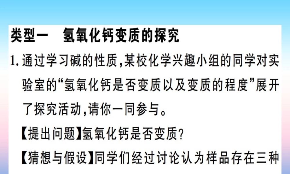 九年级化学下册 专题四 碱变质的探究习题课件 (新版)新人教版 课件