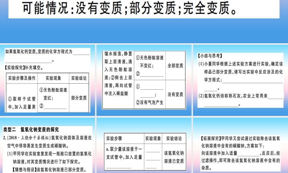 九年级化学下册 专题四 碱变质的探究习题课件 (新版)新人教版 课件