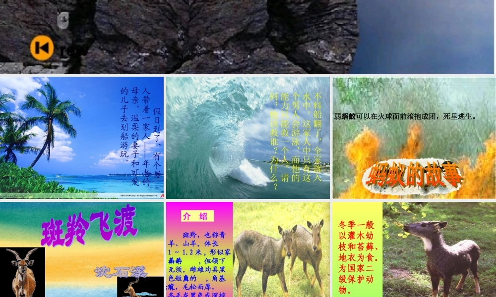 七下语文斑羚飞渡 课件 人教版 课件