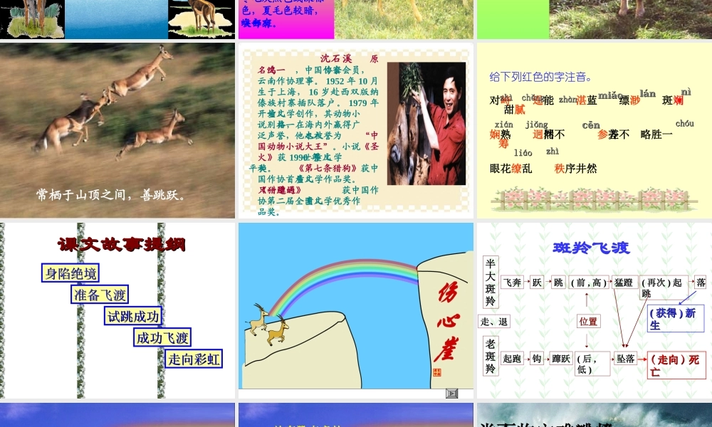 七下语文斑羚飞渡 课件 人教版 课件