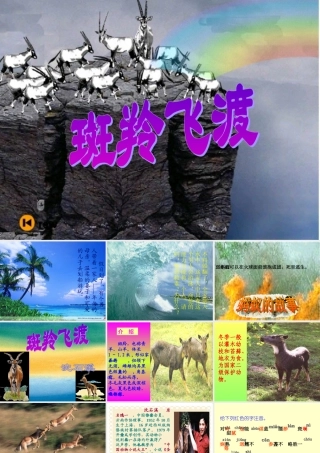 七下语文斑羚飞渡 课件 人教版 课件