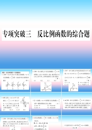 (甘肃专用)中考数学 第二轮 中档题突破 专项突破3 反比例函数的综合题作业课件