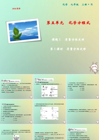 九年级化学上册 第5单元 化学方程式 课题1 质量守恒定律 第1课时 质量守恒定律作业课件 (新版)新人教版 课件