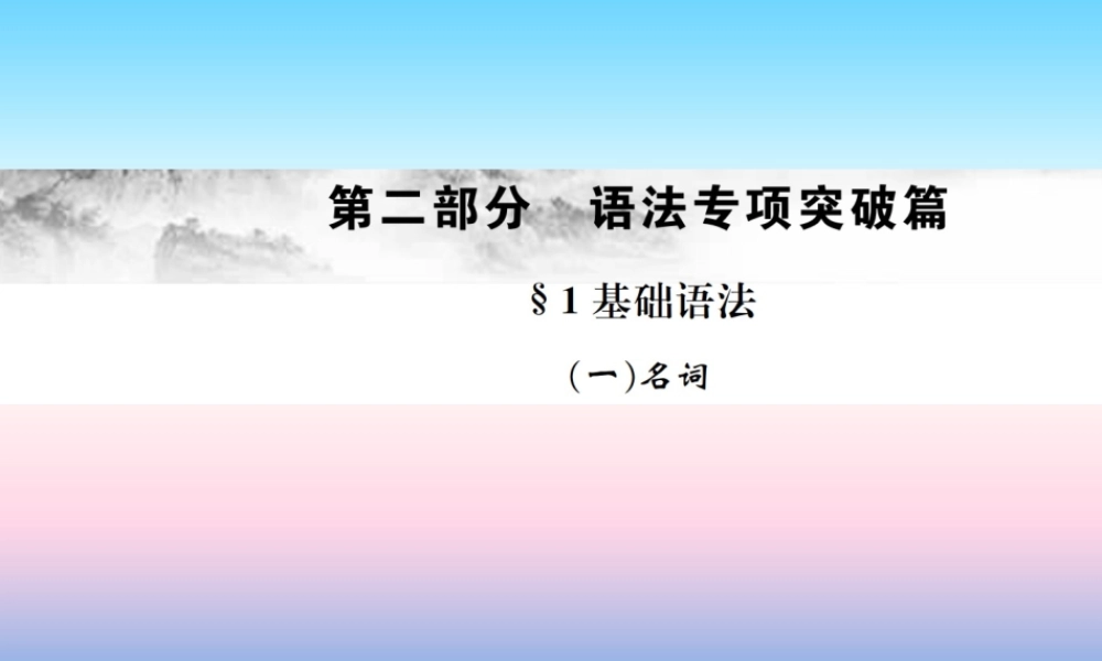 中考英语总复习 第二部分 语法专项突破篇 1基础语法(一)名词习题课件