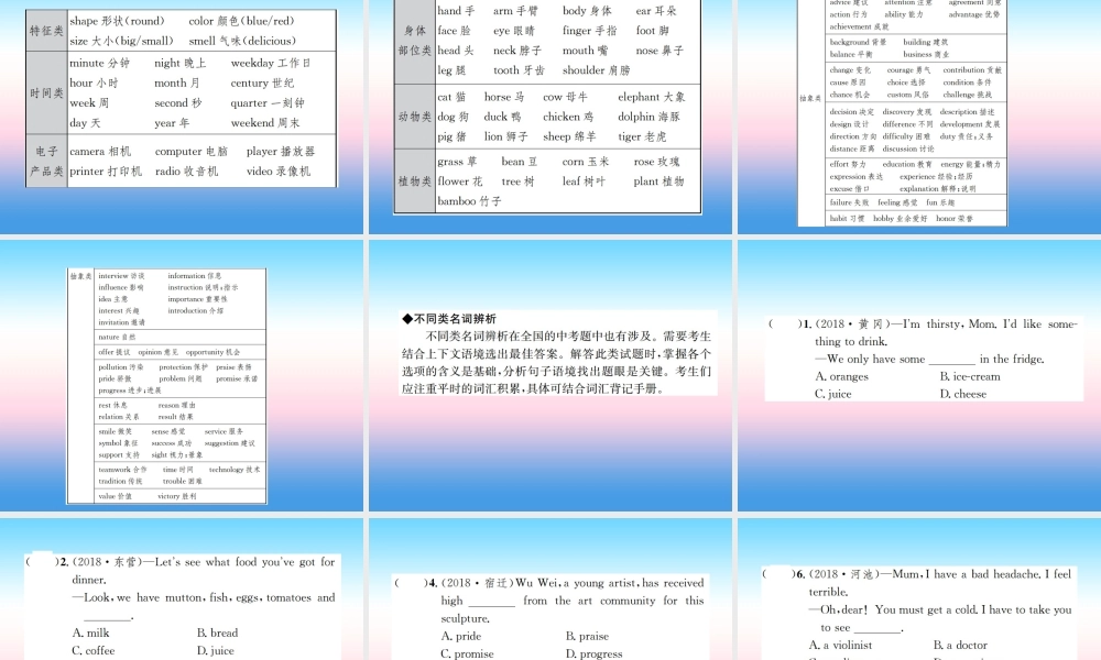 中考英语总复习 第二部分 语法专项突破篇 1基础语法(一)名词习题课件