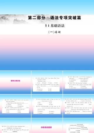中考英语总复习 第二部分 语法专项突破篇 1基础语法(一)名词习题课件