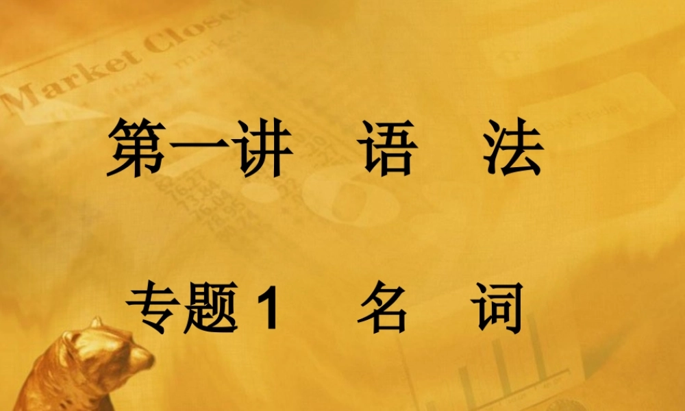 中考英语语法考点专题复习1 名词课件