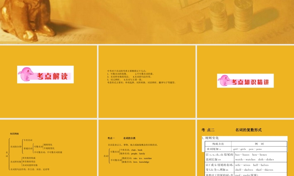 中考英语语法考点专题复习1 名词课件