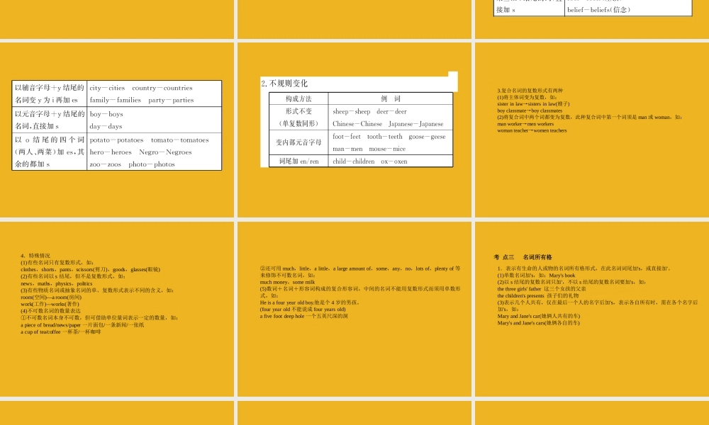 中考英语语法考点专题复习1 名词课件