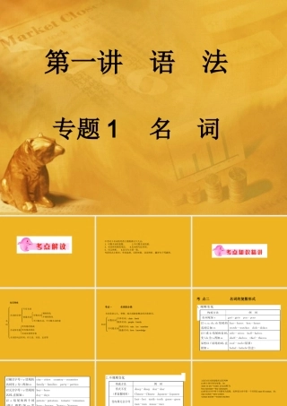 中考英语语法考点专题复习1 名词课件