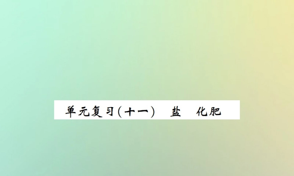 九年级化学下册 第十一单元 盐 化肥单元复习(十一)课件 (新版)新人教版 课件