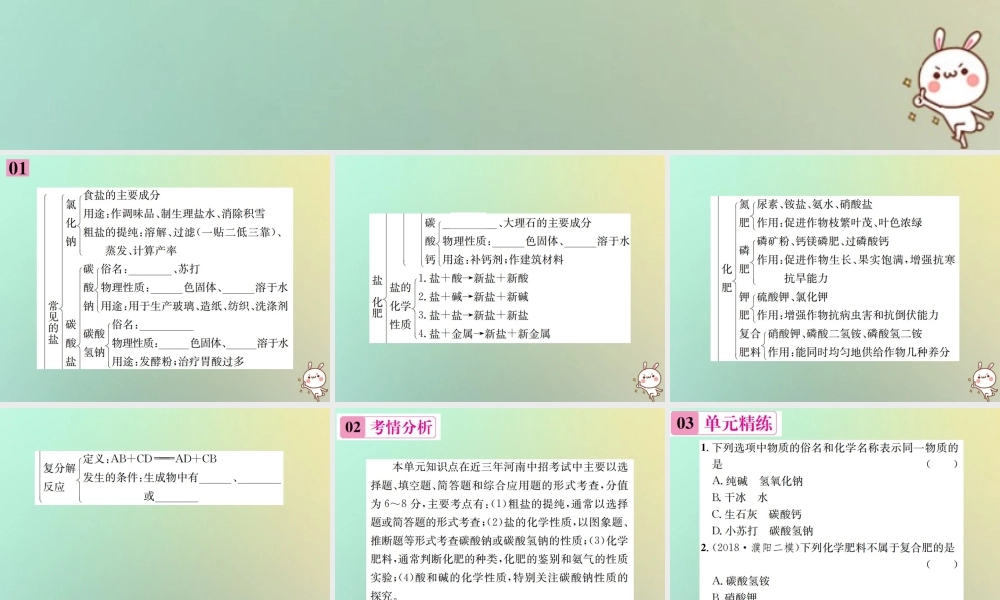 九年级化学下册 第十一单元 盐 化肥单元复习(十一)课件 (新版)新人教版 课件