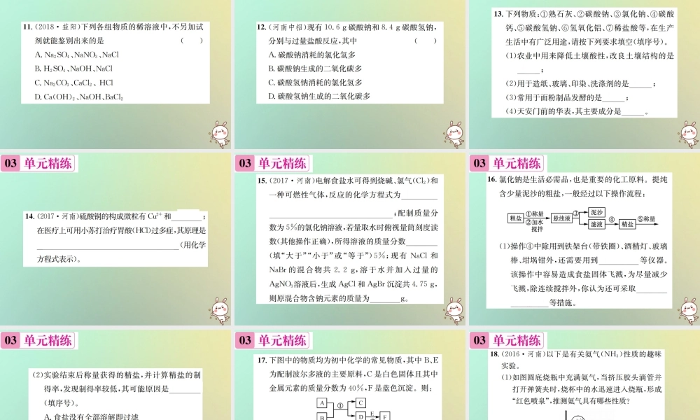 九年级化学下册 第十一单元 盐 化肥单元复习(十一)课件 (新版)新人教版 课件