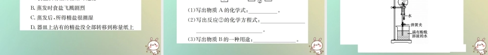九年级化学下册 第十一单元 盐 化肥单元复习(十一)课件 (新版)新人教版 课件