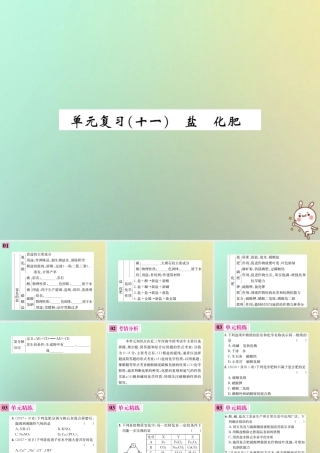 九年级化学下册 第十一单元 盐 化肥单元复习(十一)课件 (新版)新人教版 课件