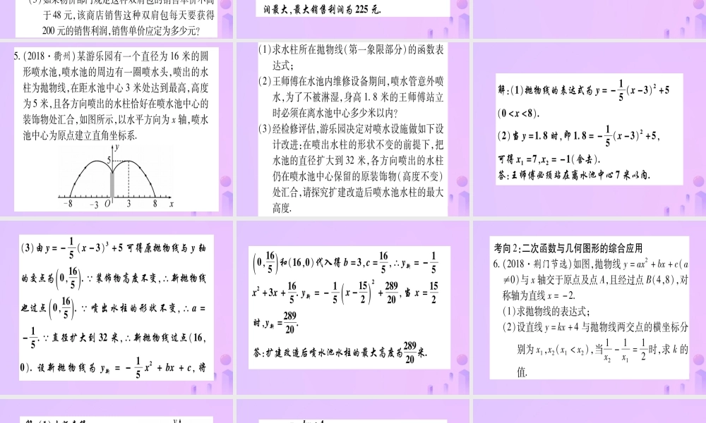 (云南专用)中考数学 第一轮 考点系统复习 第3章 函数 第5节 二次函数的综合应用作业课件