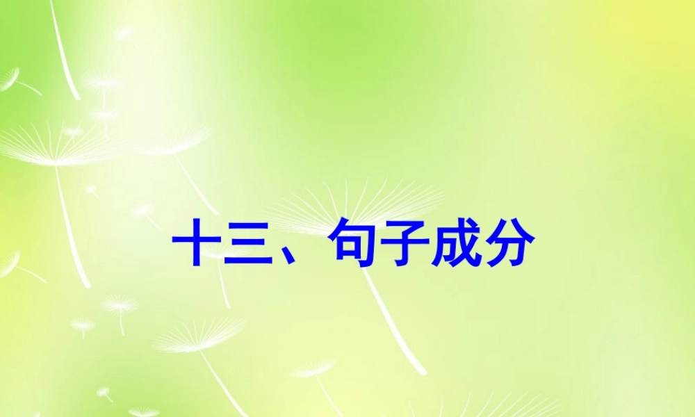 中考英语 语法专项复习十三 句子成分课件 人教新目标版 课件