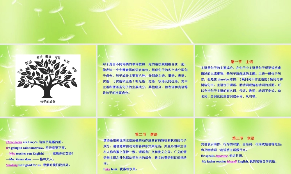 中考英语 语法专项复习十三 句子成分课件 人教新目标版 课件