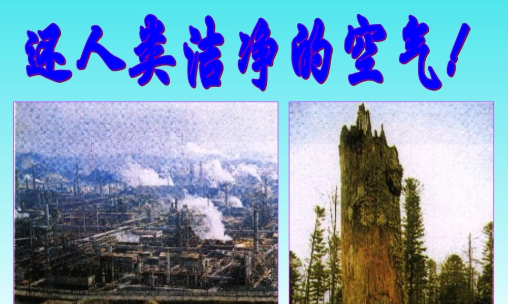 九年级化学第九章第三节化学与环境之(还人类洁净的空气)课件沪教版 课件
