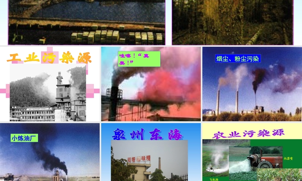 九年级化学第九章第三节化学与环境之(还人类洁净的空气)课件沪教版 课件