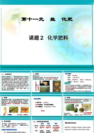 九年级化学化学肥料2课件